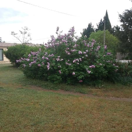 Le Mas Du Berger Saint-Quentin-la-Poterie Εξωτερικό φωτογραφία