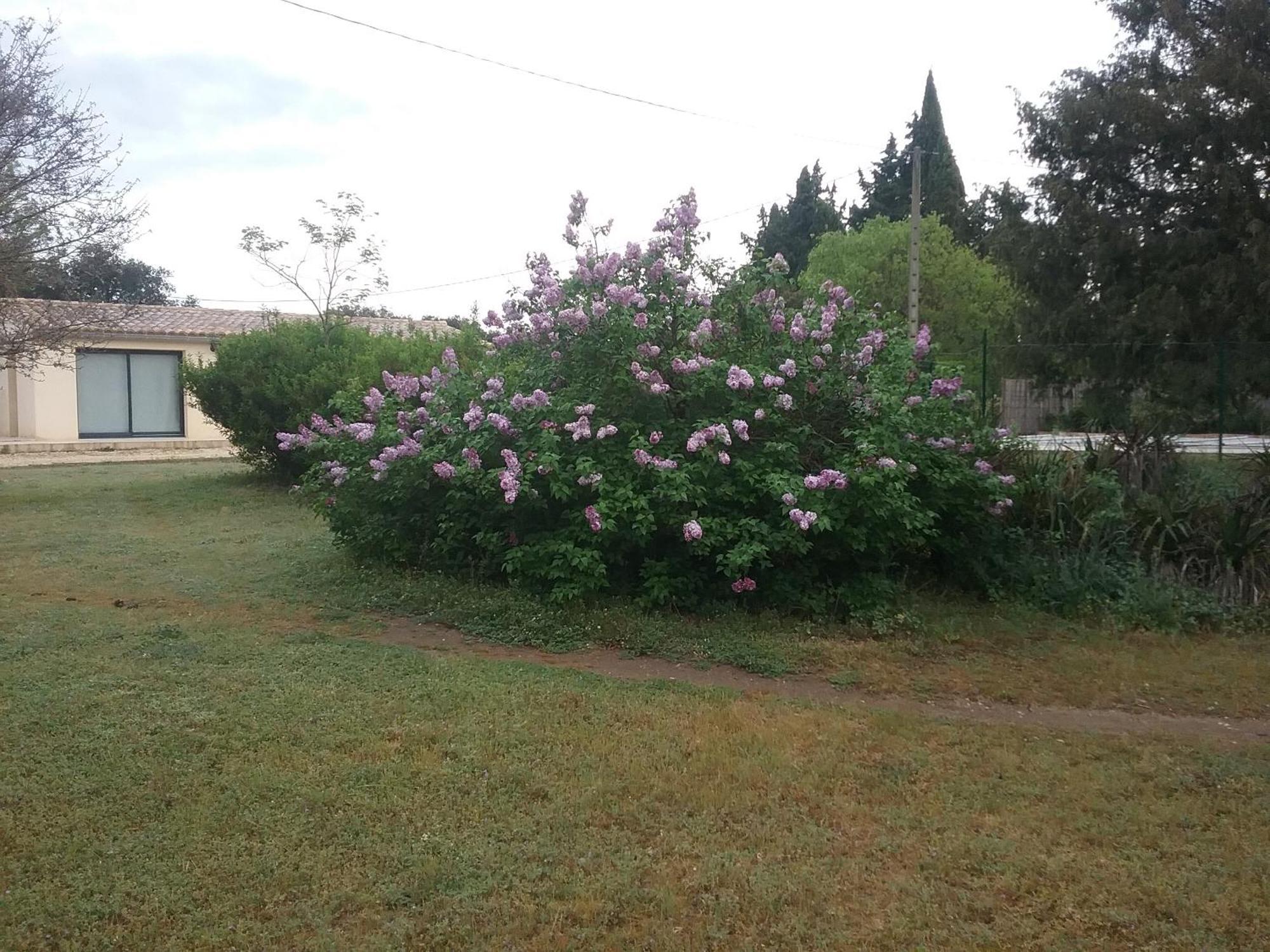 Le Mas Du Berger Saint-Quentin-la-Poterie Εξωτερικό φωτογραφία